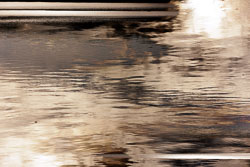 LSF__R6_0961.jpg LSF__R6_0961.jpg