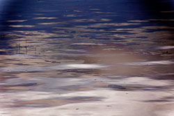LSF__R6_0963.jpg LSF__R6_0963.jpg