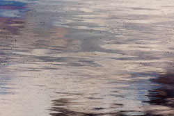 LSF__R6_0964.jpg LSF__R6_0964.jpg