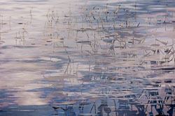LSF__R6_0965.jpg LSF__R6_0965.jpg