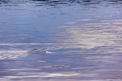 LSF__R6_0966.jpg LSF__R6_0966.jpg