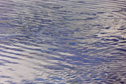 LSF__R6_0967.jpg LSF__R6_0967.jpg