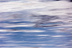 LSF__R6_0970.jpg LSF__R6_0970.jpg