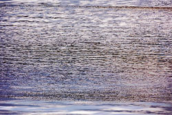 LSF__R6_0971.jpg LSF__R6_0971.jpg