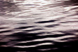 LSF__R6_0973.jpg LSF__R6_0973.jpg