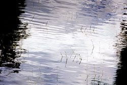 LSF__R6_0974.jpg LSF__R6_0974.jpg