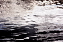 LSF__R6_0975.jpg LSF__R6_0975.jpg