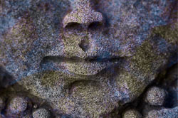 LSF__R6_1179-Edit_PSC2.jpg LSF__R6_1179-Edit_PSC2.jpg