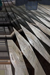 LSF_ph_Bluristic_0017_v1.jpg