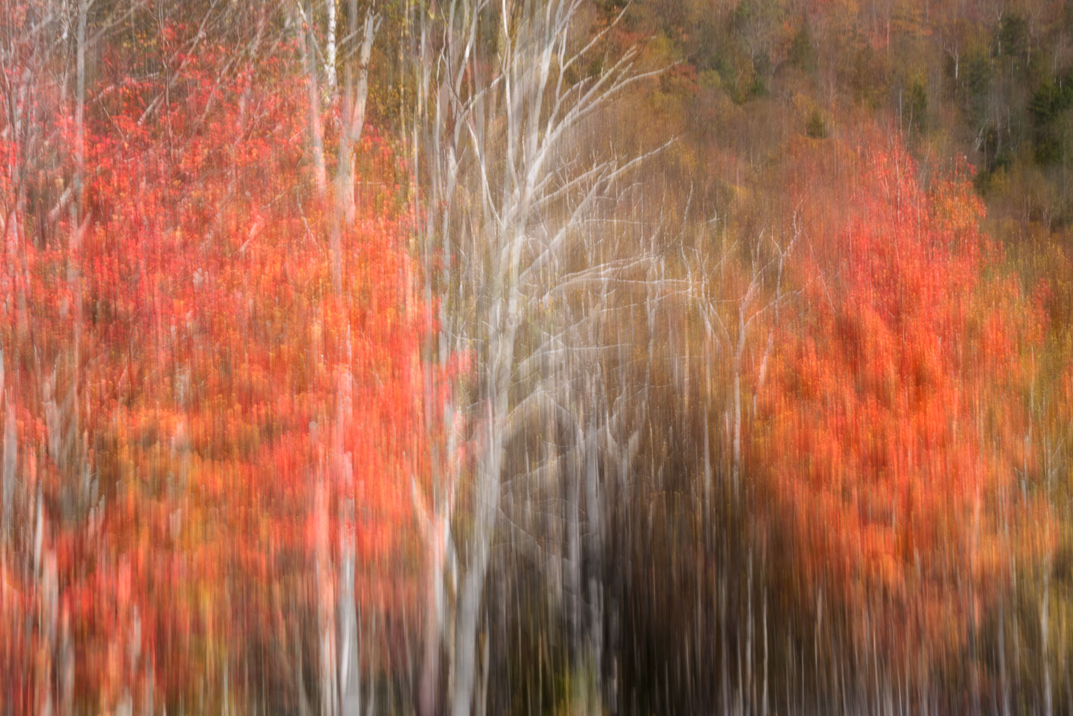 LSF_2701___G85_1090481-composite.jpg