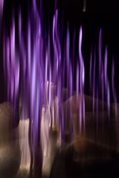 PAST Work ICM and ICM-MEx