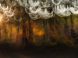 Past ICM Images 