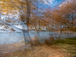 LSF_2977__G9_1579_EDIT.jpg