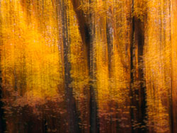 PAST Work ICM and ICM-MEx