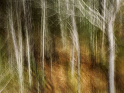 2024 ICM Images MARCH