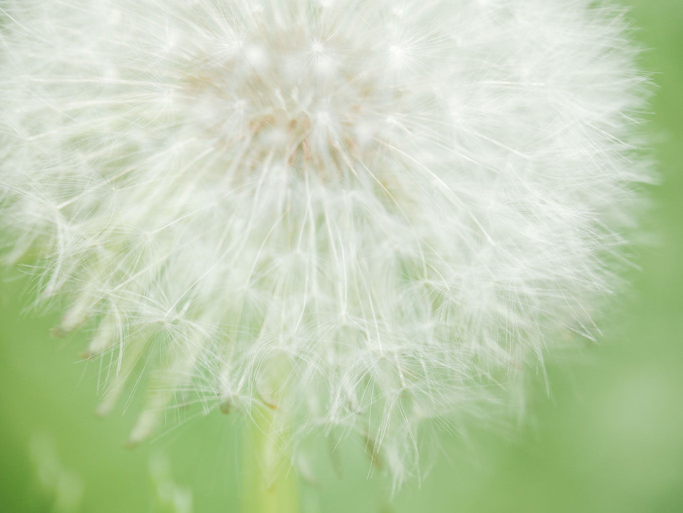 LSF__G85_1240121.jpg