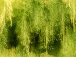 2024 ICM Images JUNE