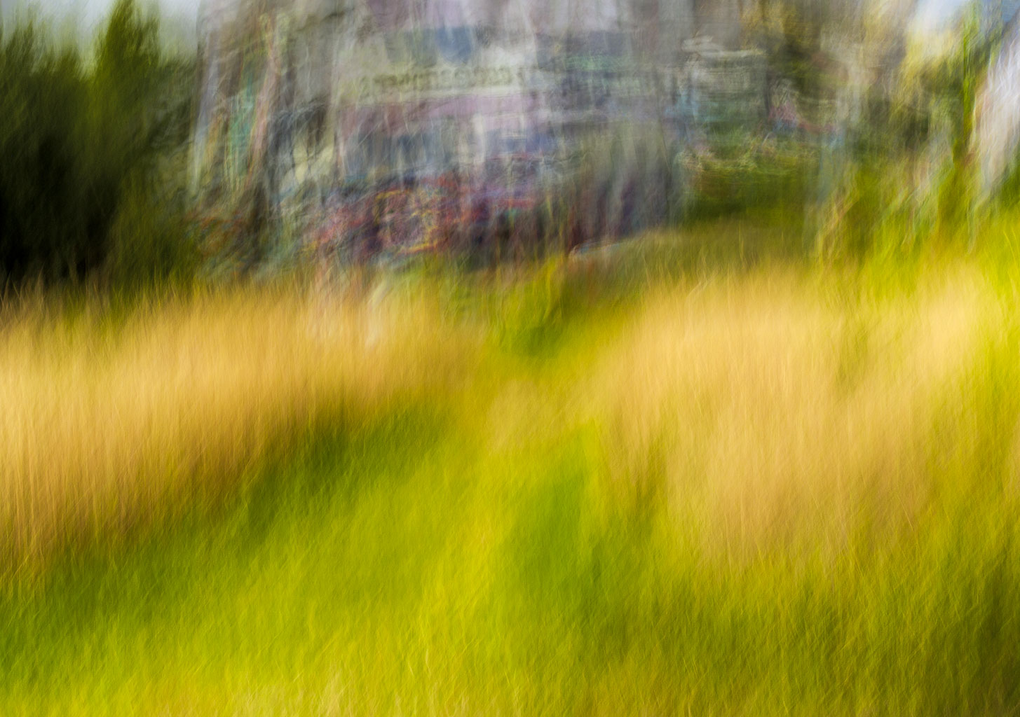 LSF__G9_0880-Edit.jpg