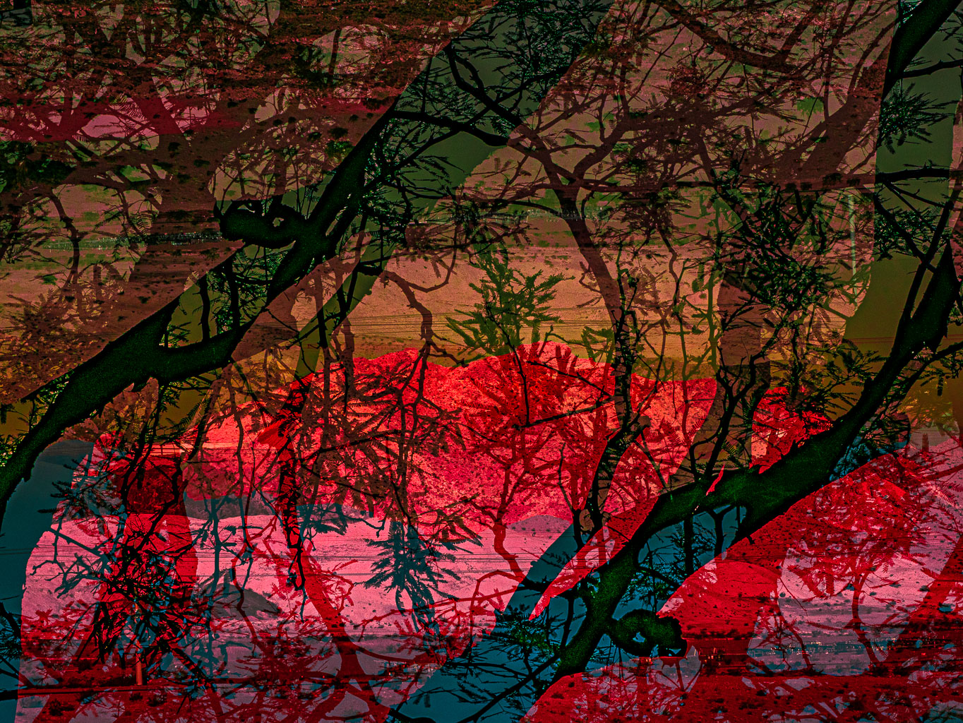 LSF__GM5_1040397-Edit_VP.jpg