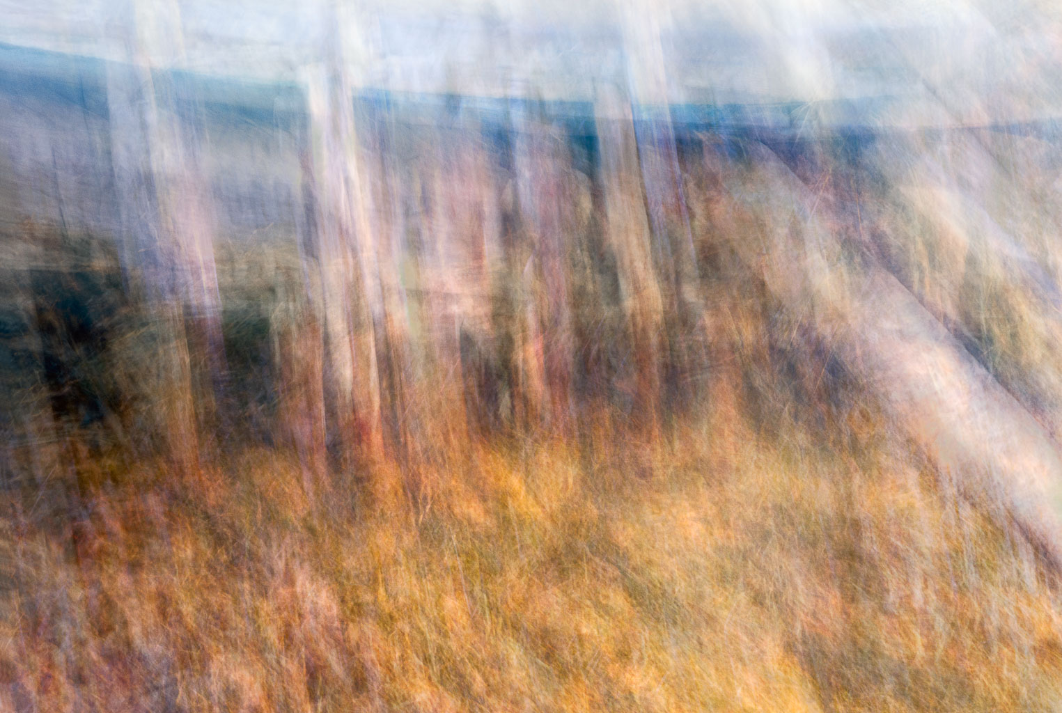 LSF__GX9_7495-Edit_PSMExp10.jpg