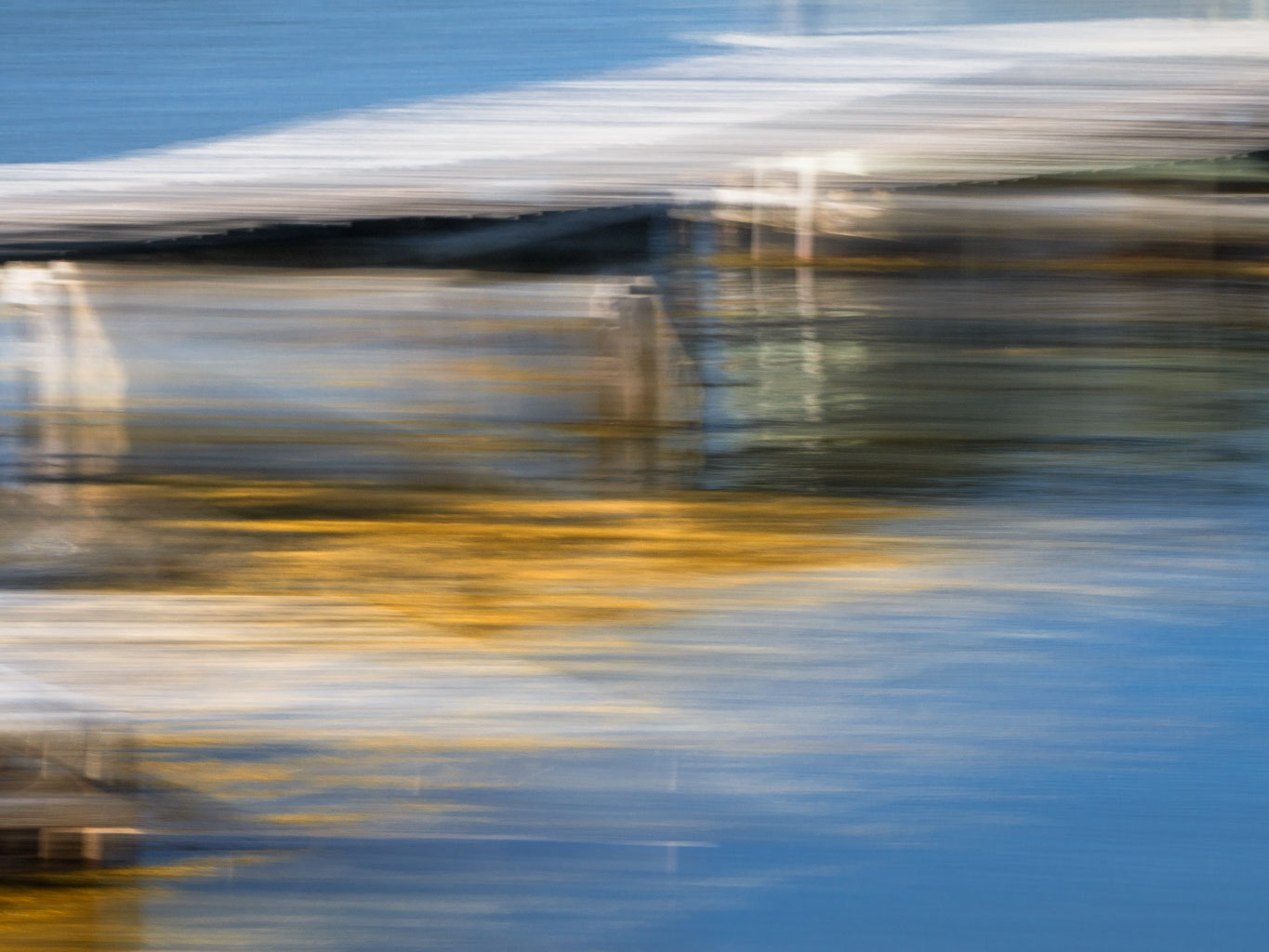 LSF__GX9_7596.jpg