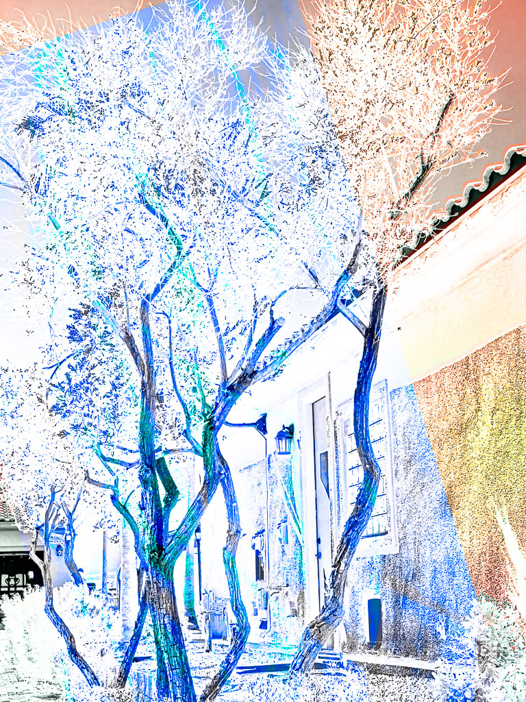 LSF__RX9_92968-Edit_PSMeExp3.jpg