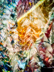LSF_20250507_191342~3-Edit_PSMeExp2.jpg