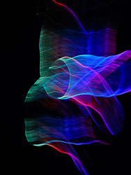 LSF_20260225-3690___GX9_0439.jpg