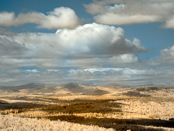 LSF_3201__G9R_3346-1-Recovered.jpg