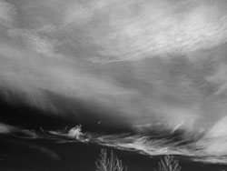 LSF_3341___RX9_0079.jpg