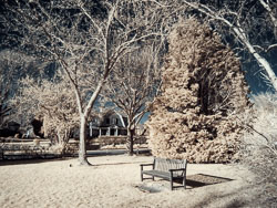 LSF_3342___RX9__655_0136.jpg