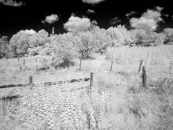 LSF_3385___RX9_2042-Edit-BW.jpg