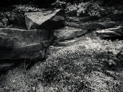 LSF_3389__G9R_4651-Edit_LR-PS-NIK.jpg