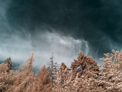 LSF_3478___G9R__92534.jpg