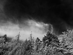 LSF_3478___G9R__92534_v1.jpg