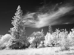 LSF_3478___G9R__92564.jpg