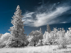 LSF_3478___GX9_590_92564-Edit-hot-spot.jpg