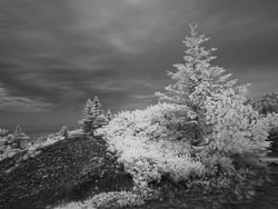 LSF_3484___G9R__92598.jpg