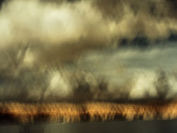 LSF_3524___RX9_92856.jpg