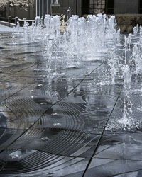 LSF_3712__RX9__665_93529.jpg