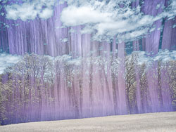 LSF_3715__RX9__665_93678-Edit_PSC_3.jpg