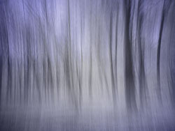 LSF_3715__RX9__665_93678.jpg