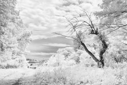 LSF_3724__G9R__IR_665_-100_5300-adjusted-enhanced-swap-NIK-SFX-EFX-REdit.jpg