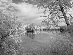 LSF__G9R__IR_665_-100_5253.jpg