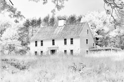 LSF__G9R__IR_665_-100_5365-Edit-CLIR-EC-Swap-NIK.jpg
