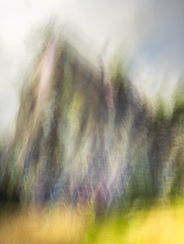 LSF__G9_0894-Edit.jpg