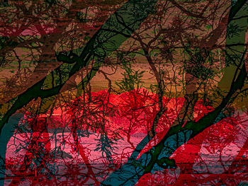 LSF__GM5_1040397-Edit_VP.jpg