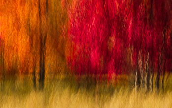 LSF__GX9_0027-Edit-ICM-1610.jpg