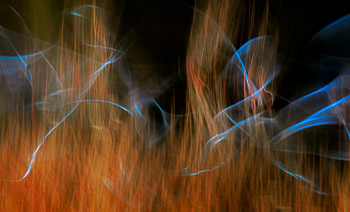 LSF__GX9_1898-Edit-ICM-MEX.jpg
