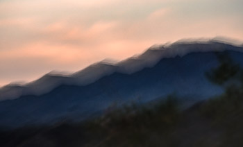 LSF__GX9_7180-Edit_PS-VP.jpg